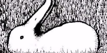 Persoonlijkheidstest onthult jouw karakter: welk dier zie jij als eerste?