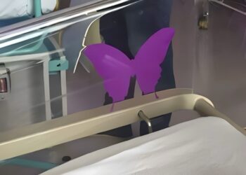 Dit moet je weten als je een paarse vlindersticker bij een pasgeborene ziet!