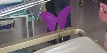 Dit moet je weten als je een paarse vlindersticker bij een pasgeborene ziet!