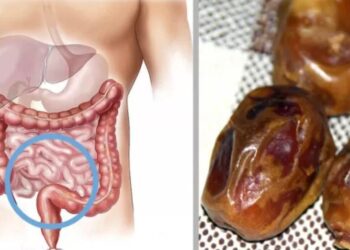 Wat er gebeurt met je lichaam als je elke dag een dadel eet