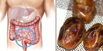 Wat er gebeurt met je lichaam als je elke dag een dadel eet