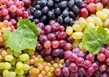 Opgelet: Om deze reden moet je nooit meer pitloze druiven halen!