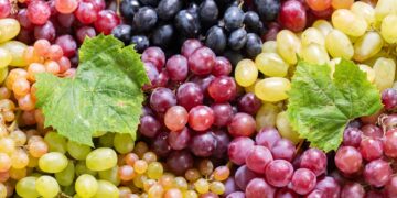 Opgelet: Om deze reden moet je nooit meer pitloze druiven halen!