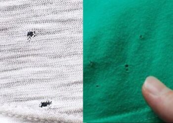 Mysterieuze gaatjes in je T-shirt? Dit zijn de oorzaken, het is niet wat je denkt!