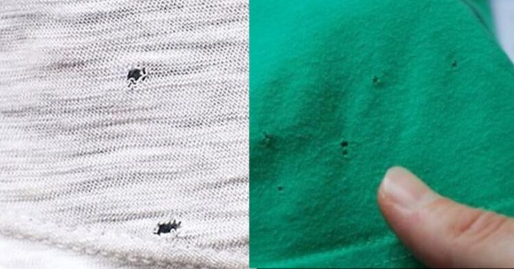 Mysterieuze gaatjes in je T-shirt? Dit zijn de oorzaken, het is niet wat je denkt!