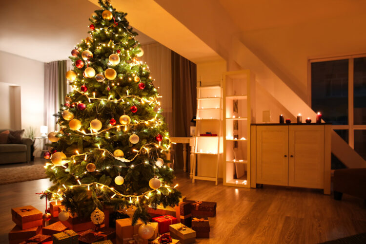 Dit is het bedrag dat je kwijt bent aan het laten branden van kerstlampjes