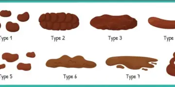 Deze 10 ‘poepsoorten’ zeggen veel over je gezondheid. Wist ik dit maar eerder!