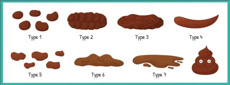 Deze 10 ‘poepsoorten’ zeggen veel over je gezondheid. Wist ik dit maar eerder!