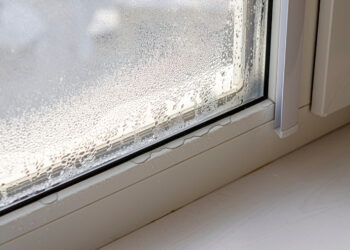 Zo houd je je huis schimmelvrij: Dit zijn de belangrijkste tips om het voorgoed te voorkomen!