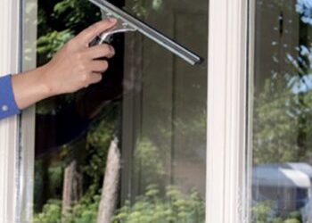 Deze vrouw onthult haar geheime truc voor streeploze, glanzende ramen