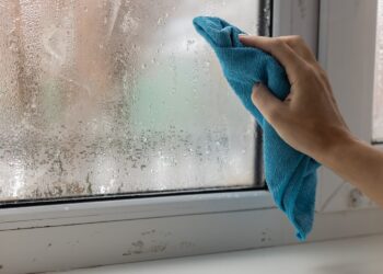 Zo zorg je thuis voor een gezonde luchtvochtigheid deze winter
