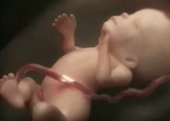 Prachtige video laat zwangerschap van 9 maanden in slechts 4 minuten zien