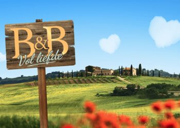 Nieuwe liefdes gezocht in ‘B&B Vol Liefde’: ontmoet de nieuwe kandidaten