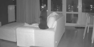 Deze kattencamera heeft de explosie in Den Haag vastgelegd