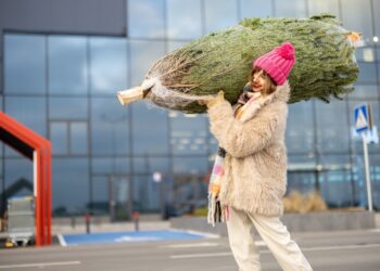 Niet schrikken: Er schuilen heel veel beestjes in je kerstboom