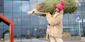 Niet schrikken: Er schuilen heel veel beestjes in je kerstboom