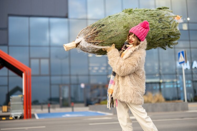 Niet schrikken: Er schuilen heel veel beestjes in je kerstboom