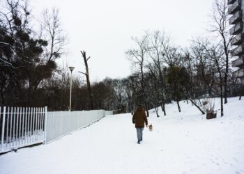 Winterliefhebbers opgelet: ‘Flink pak sneeuw in aantocht”