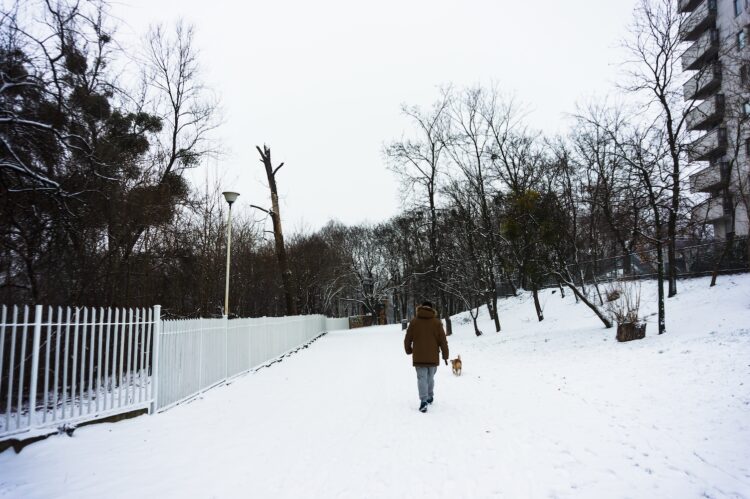 Winterliefhebbers opgelet: ‘Flink pak sneeuw in aantocht”