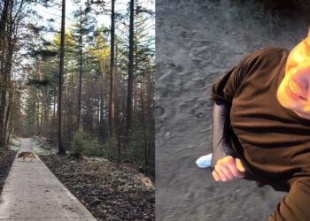 Opmerkelijke beelden: Hardloopster op de Veluwe achtervolgd door wolf: “Bijzonder, maar ongemakkelijk”