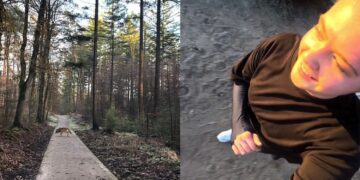 Opmerkelijke beelden: Hardloopster op de Veluwe achtervolgd door wolf: “Bijzonder, maar ongemakkelijk”