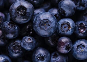 Mogelijk honderden hepatitis A besmettingen vanwege het eten van blauwe bes van Albert Heijn