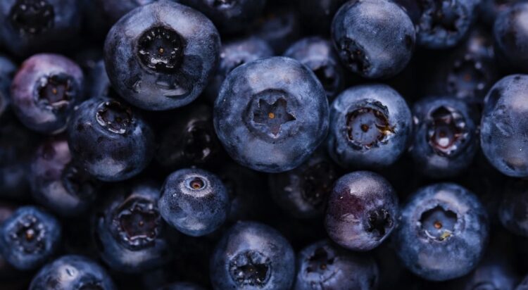 Mogelijk honderden hepatitis A besmettingen vanwege het eten van blauwe bes van Albert Heijn