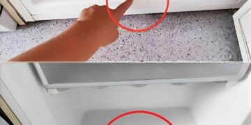 Dit verborgen onderdeel zit in bijna elke koelkast, maar veel mensen weten niet waarvoor het dient