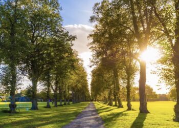 Heerlijk weer voor de boeg, komende week wordt het droog