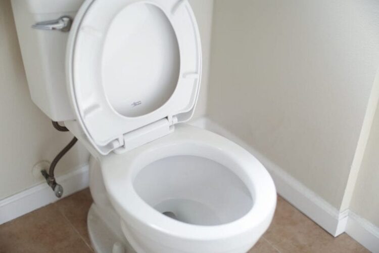 Leg een doekje met azijn in je toilet en kijk wat er vervolgens gebeurt!