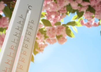 Warme week in aantocht met ‘vroege’ zomerse dag: met zelfs 26 graden