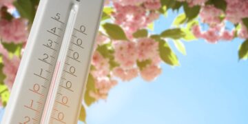 Warme week in aantocht met ‘vroege’ zomerse dag: met zelfs 26 graden