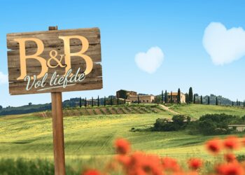 B&B vol Liefde 2025: Deze kandidaten kunnen niet wachten op het nieuwe seizoen