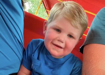 Wespen vallen aan: Peuter 150 keer gestoken: “Hij vecht voor zijn leven”