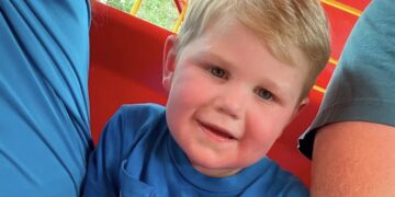 Wespen vallen aan: Peuter 150 keer gestoken: “Hij vecht voor zijn leven”