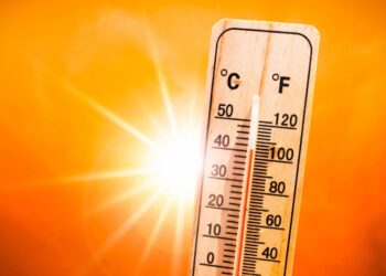 Weerkaart donkerrood: Op deze dag wordt het 42 graden in Nederland