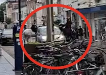 Zien: Schokkende beelden uit Den Bosch – man rijdt vol gas in op politiepaarden