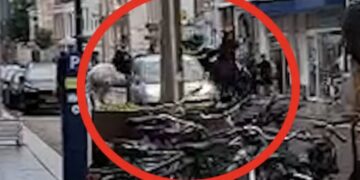 Zien: Schokkende beelden uit Den Bosch – man rijdt vol gas in op politiepaarden