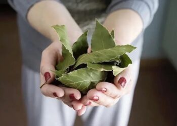 Leg dit onder je kussen en je nachtrust verandert voorgoed