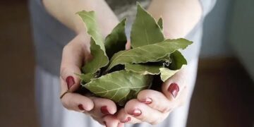 Leg dit onder je kussen en je nachtrust verandert voorgoed