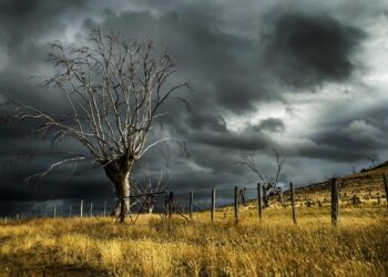 Weeralarm van kracht: storm Benjamin trekt morgen over het land