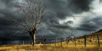Weeralarm van kracht: storm Benjamin trekt morgen over het land