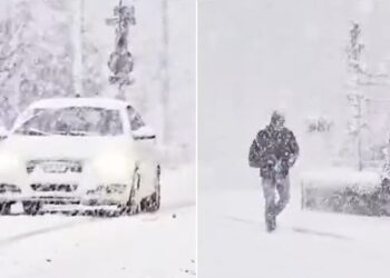 Meteorologen houden hun hart vast: deze tekenen wijzen op mogelijk strenge winter