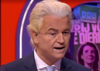 ‘Schok in laatste peilingen: PVV stort volledig in’