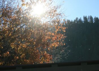 Haal de zonnebrand maar weer tevoorschijn: dit is het weer voor komend weekend!