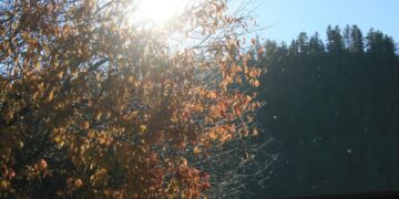 Haal de zonnebrand maar weer tevoorschijn: dit is het weer voor komend weekend!