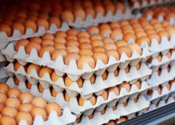 Eierprijzen stijgen explosief: zoveel betaal je nu voor een doosje