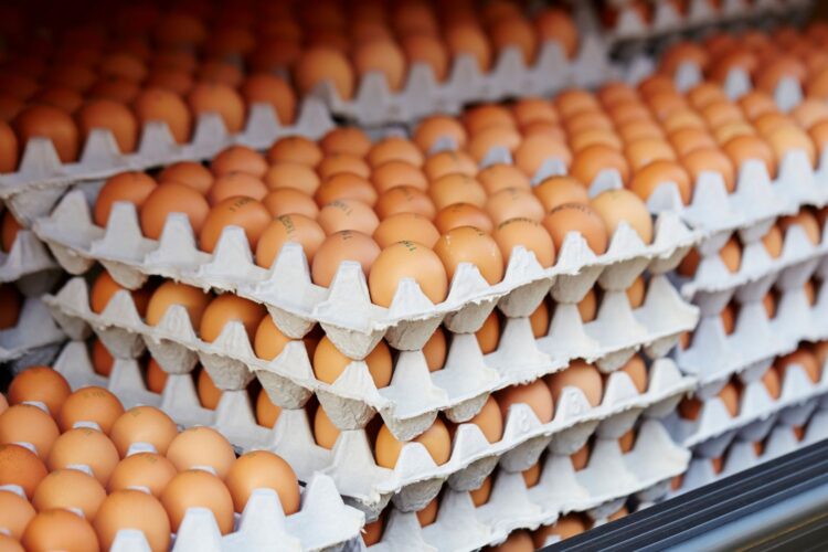 Eierprijzen stijgen explosief: zoveel betaal je nu voor een doosje