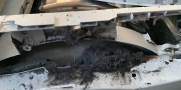 Levensgevaarlijk: zoveel stof kƔn in je droger verstopt zitten