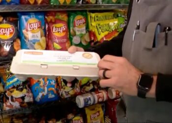 Tientallen mensen ziek na besmette eieren: gezondheidswaarschuwing zorgt voor grote onrust